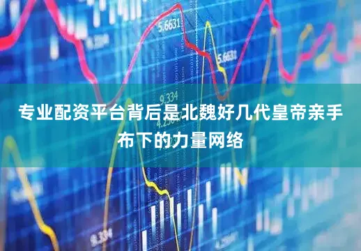 专业配资平台背后是北魏好几代皇帝亲手布下的力量网络