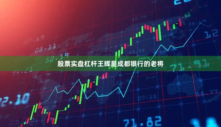 股票实盘杠杆王晖是成都银行的老将